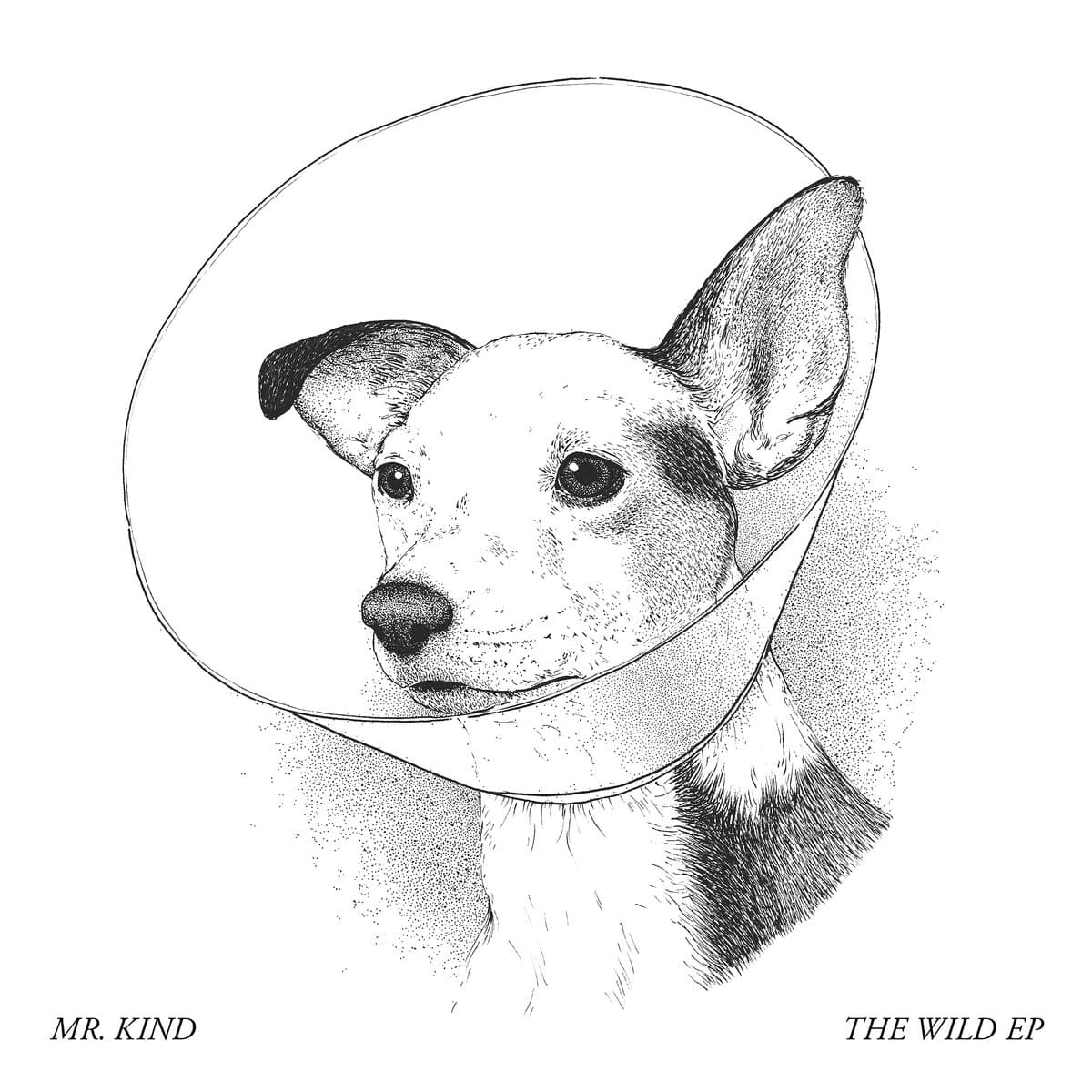 The Wild EP album art